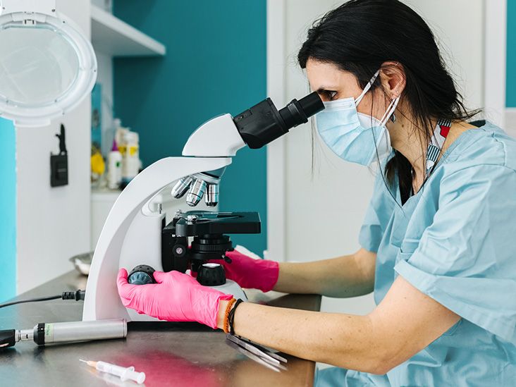 Histopathology Slide