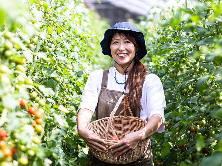 Cholesterol and Menopause What's the Relationship?