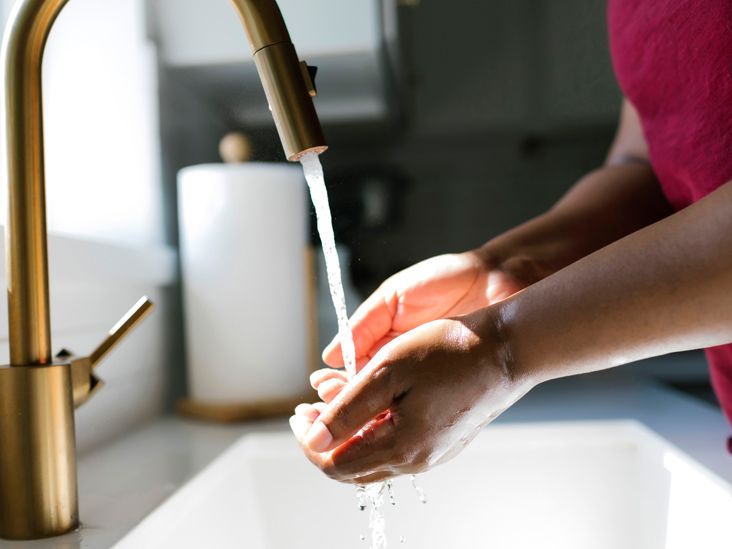 Parvovirus in Humans Symptoms, Causes, and Treatment