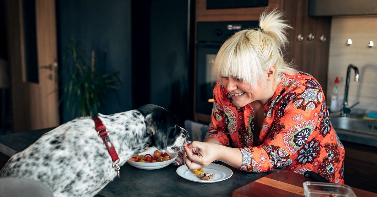 Human foods dogs can and can't eat