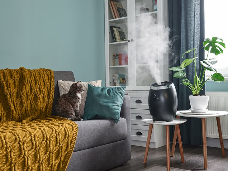 Humidifiers: What They Do for Health, Uses, Types, and More
