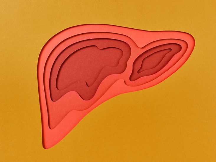 What Are the Signs Your Liver Is Healing?