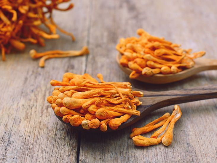 6 Benefits of Cordyceps, All Backed by Science