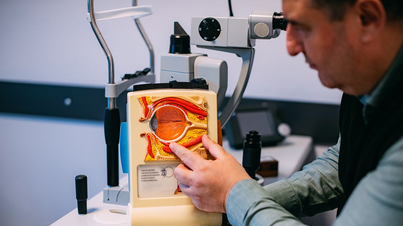 legen peker på modellen av anatomien til det menneskelige øyet