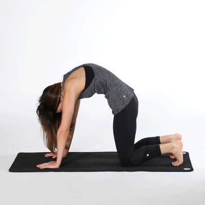 11 Stretches to Relieve Neck and Shoulder Tension / Bright Side