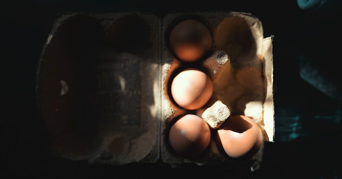 Eggs and stomach ulcers: do they help or hurt?