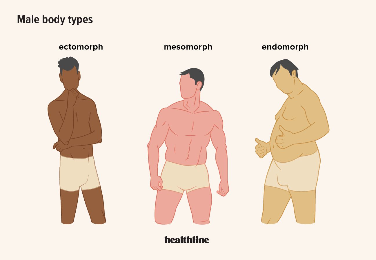 minh họa các kiểu cơ thể nam, ectomorph, mesomorph, endomorph