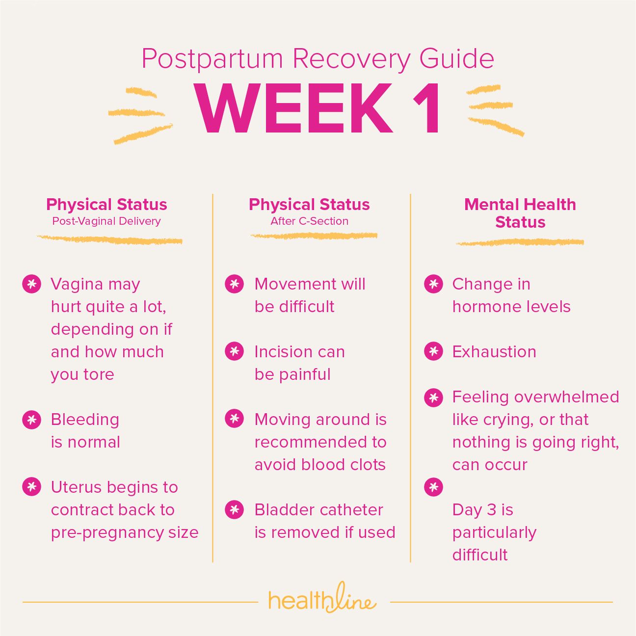 What No One Tells You About Postpartum Recovery! (Core & Pelvic
