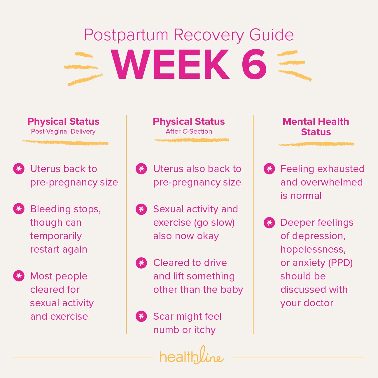 Postpartum health care and 6-week postpartum visit – Pregnancy Info