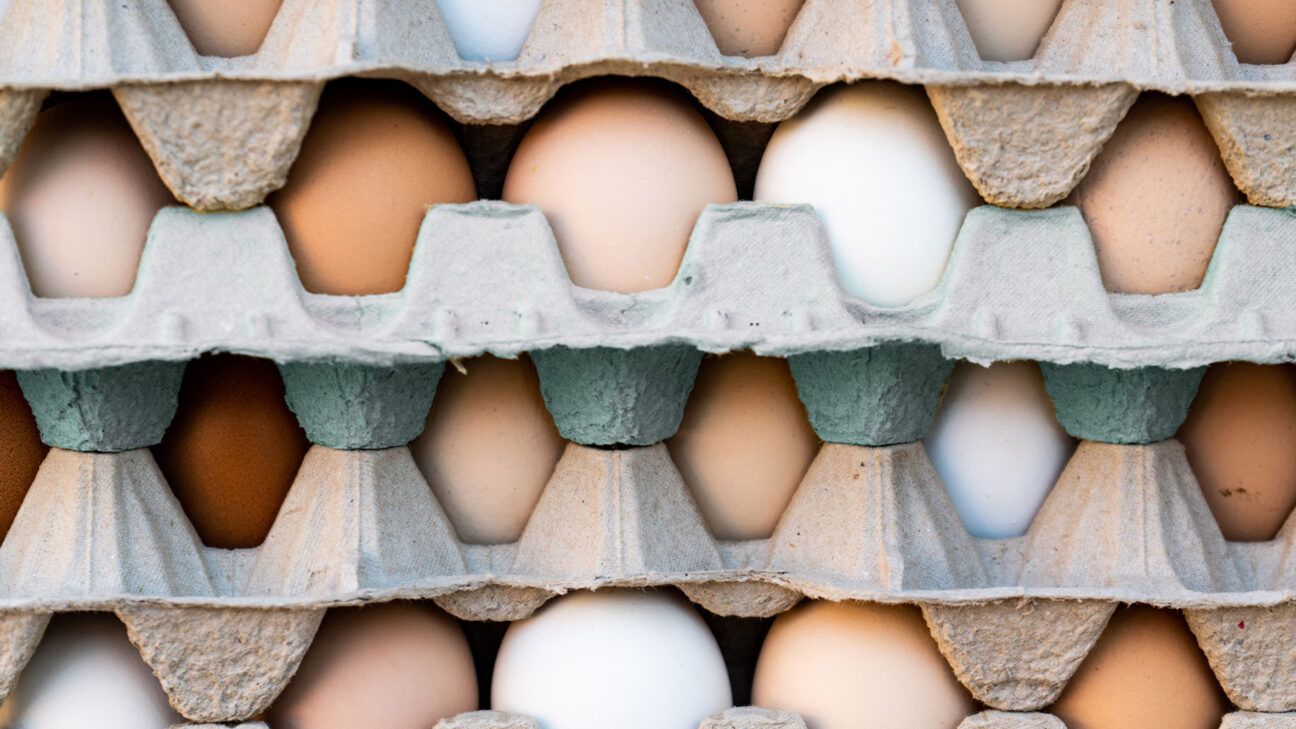 A crate of eggs is seen from the side.