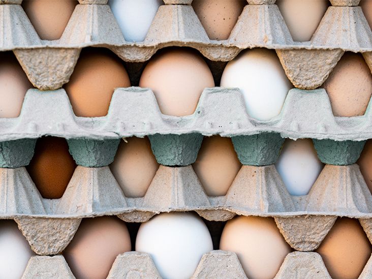 Eating 12 Eggs a Week Didn't Raise Cholesterol Levels, New Study Finds