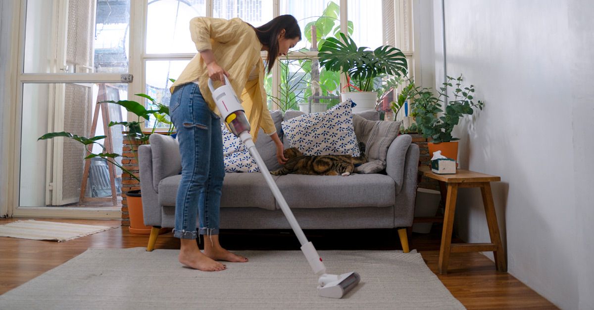 Common Indoor Allergies Triggers, Treatments, and More