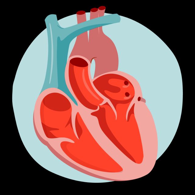 SciELO - Brasil - Anxiety increases the blood pressure response during  exercise Anxiety increases the blood pressure response during exercise