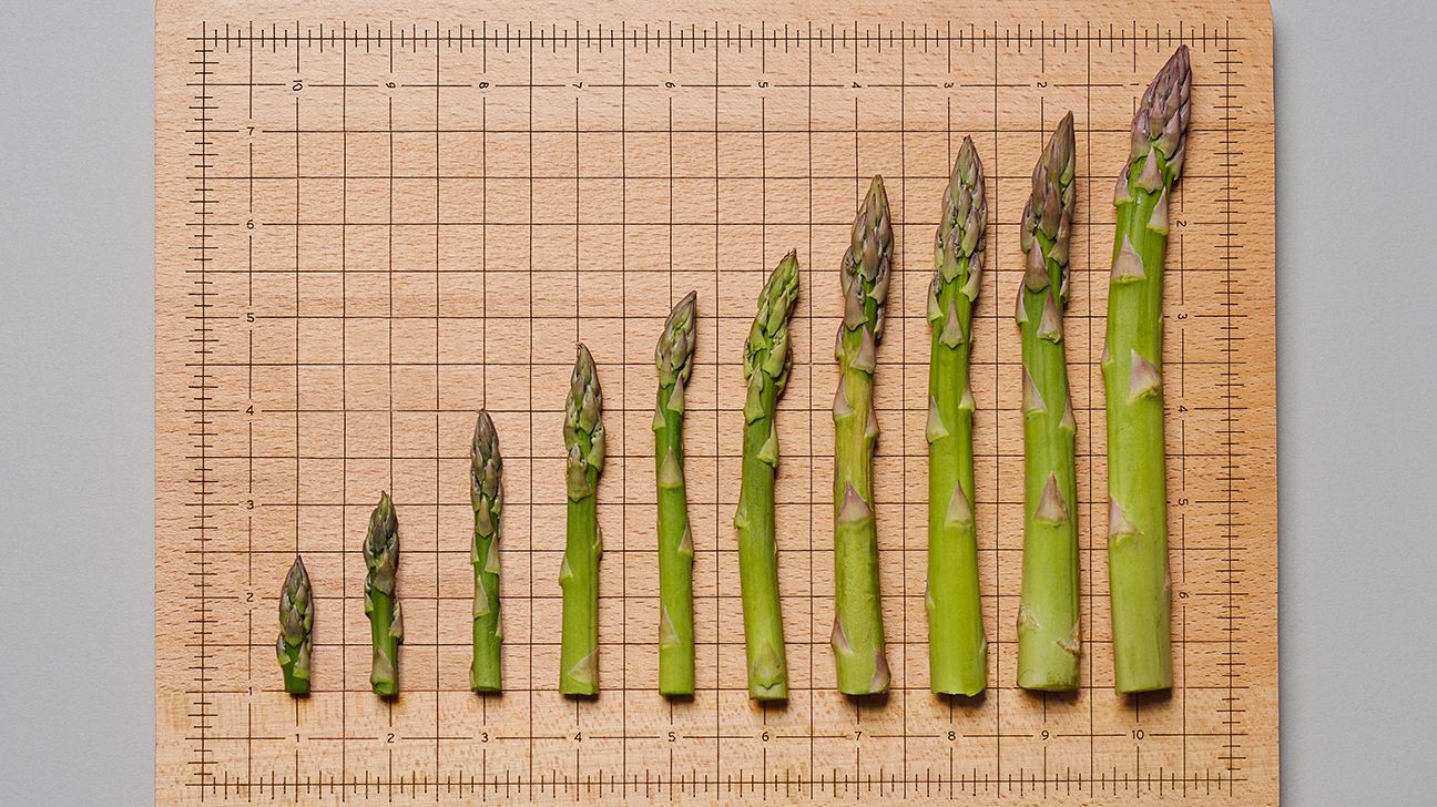 asparagus shoots of various sizes on a graph