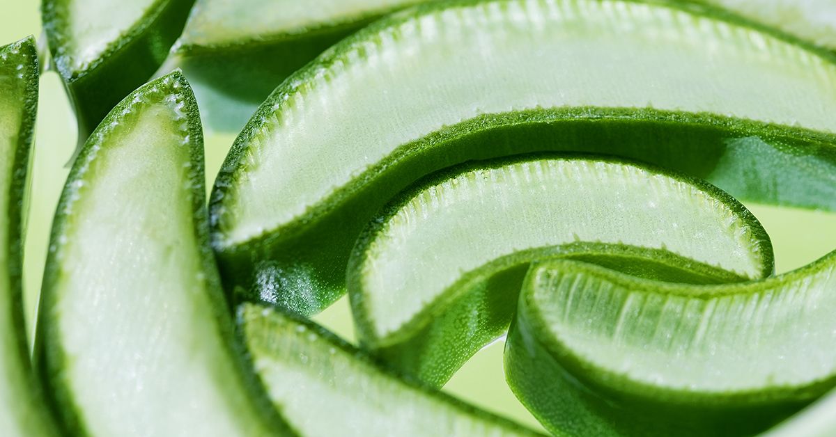 Aloe Vera for Ulcerative Colitis: Does It Work?