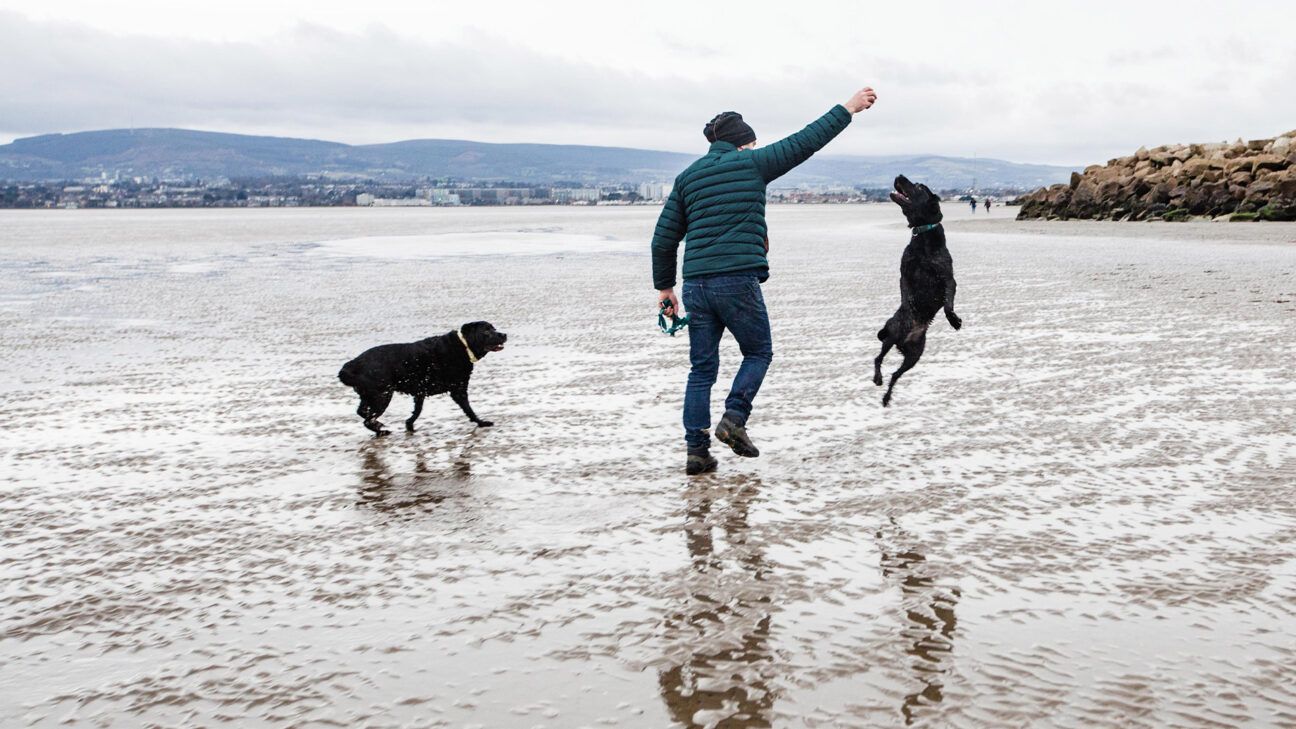 A man playing with two dogs on a beach.