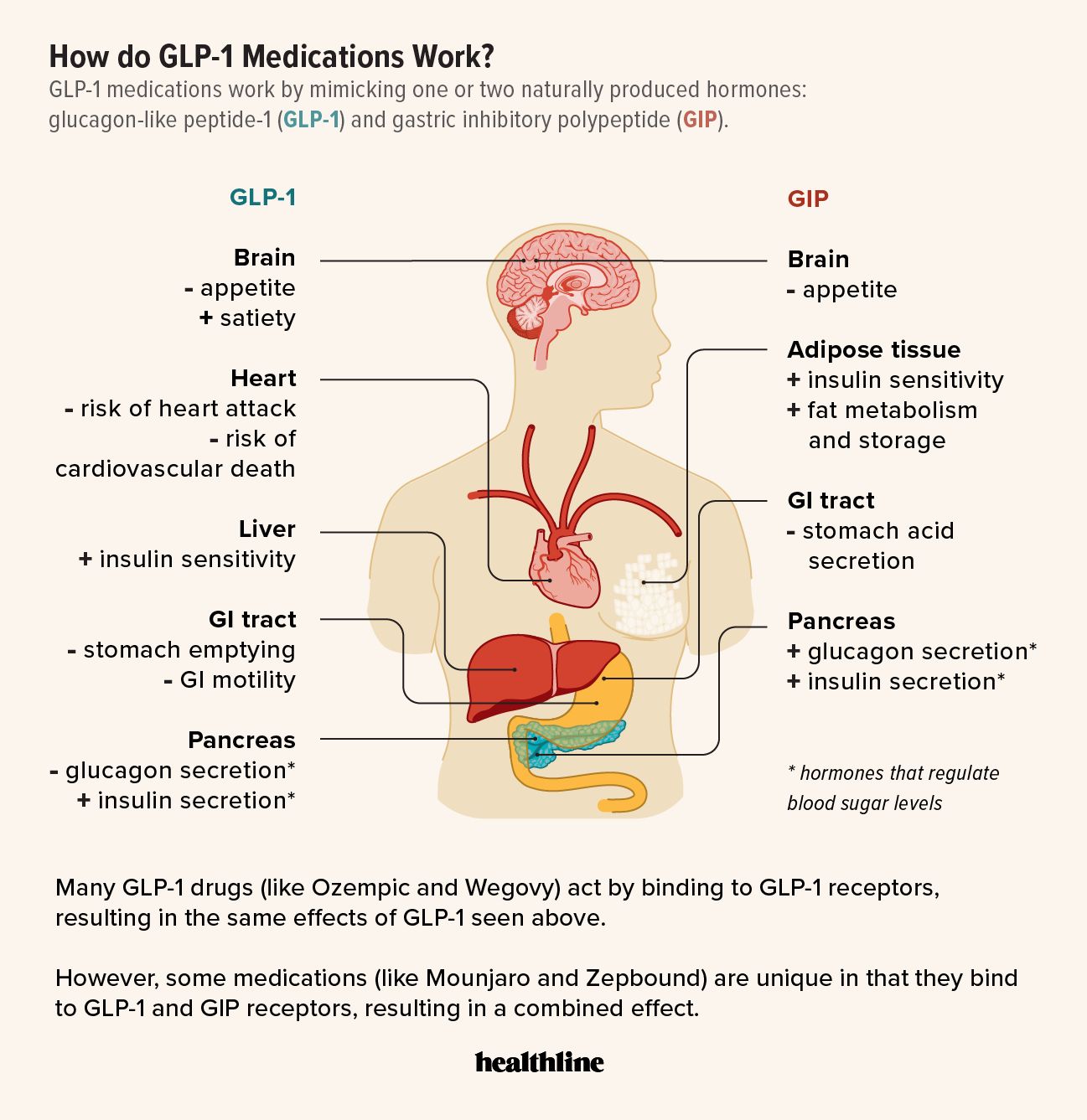 Infographic explaining how GLP-1 and GIP/GLP-1 agonists work