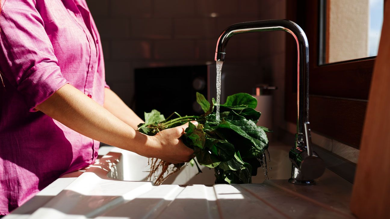 Woman washing kale in sink
