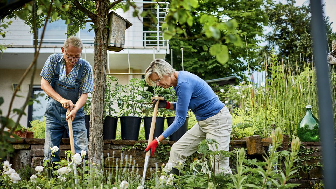 Older couple gardening.