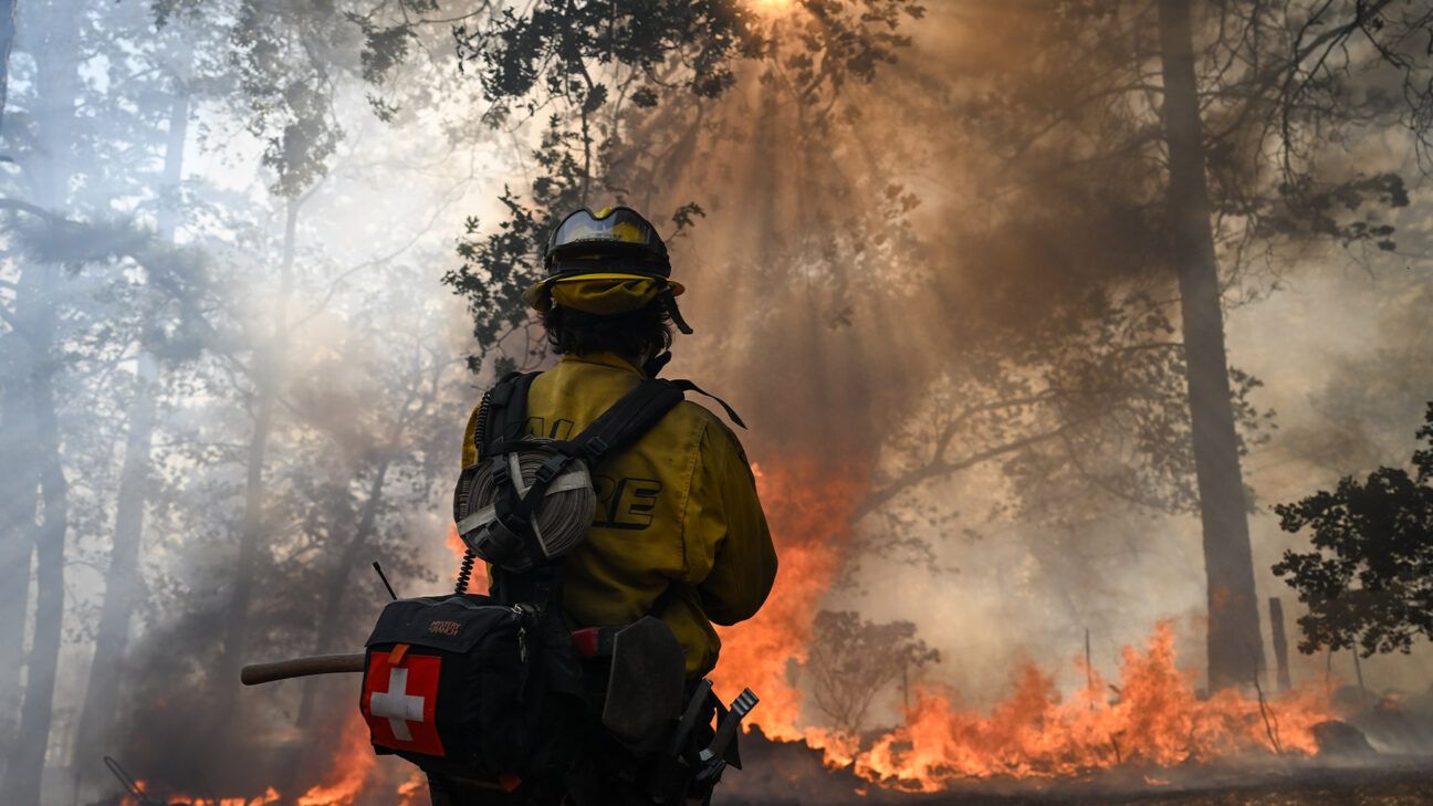 Firefighter fighting a wildfire.