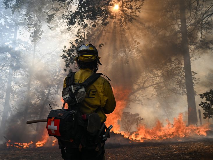 Long-Term Exposure to Wildfire Smoke May Raise Your Risk of Dementia