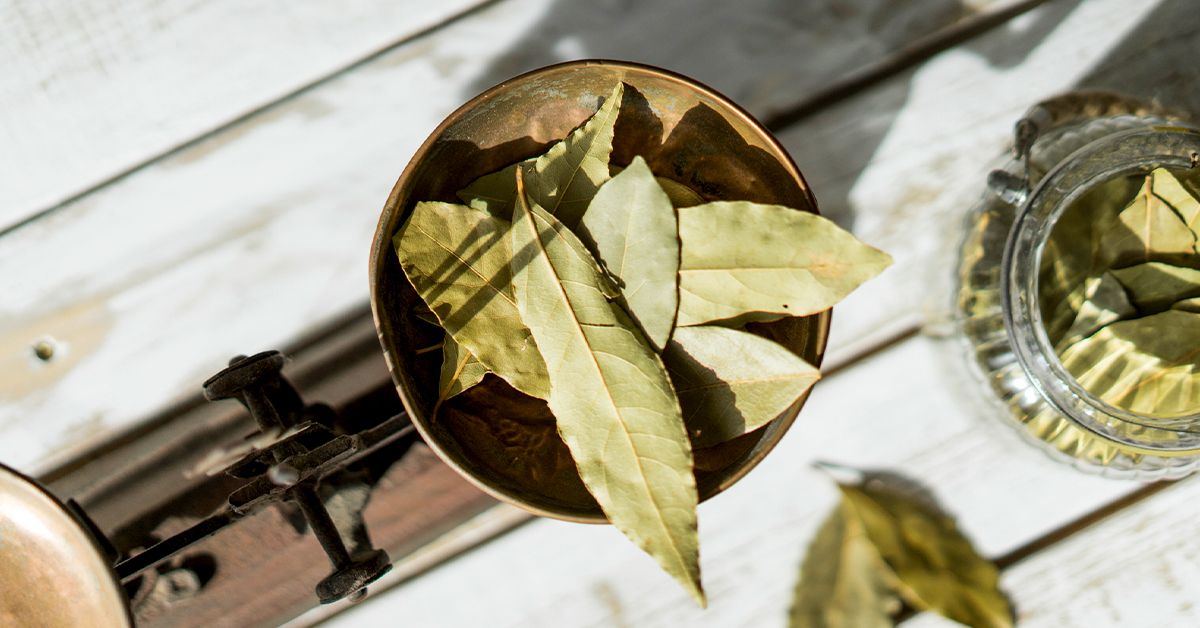 5 Possible Uses for the Bay Leaf