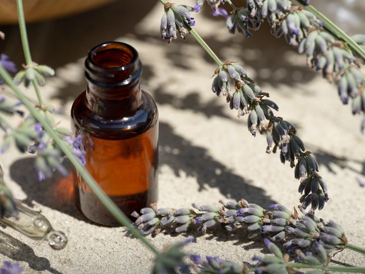 How Lavender Oil May Improve the Health of Your Skin