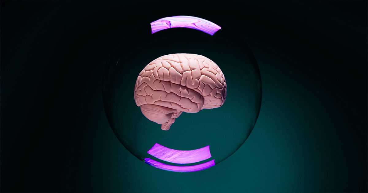 Alzheimer's Disease Originates Outside the Brain, Study Reveals