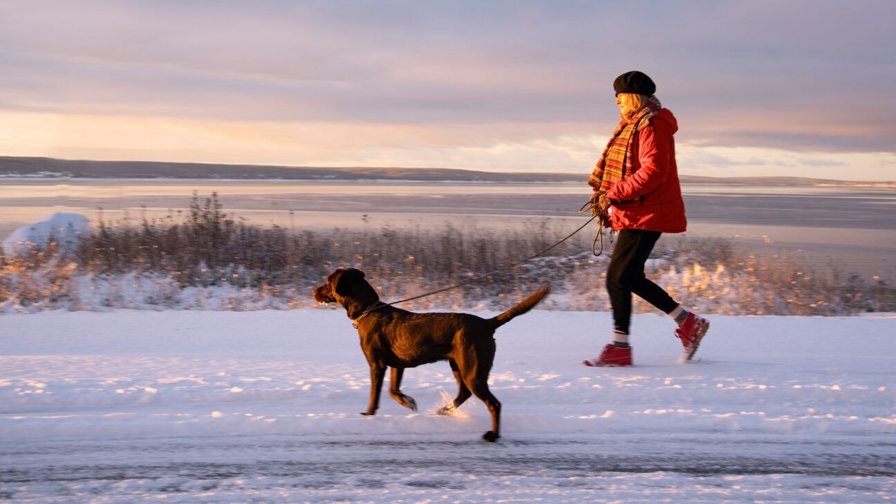 Daily Walks Could Help You Live Over a Decade Longer