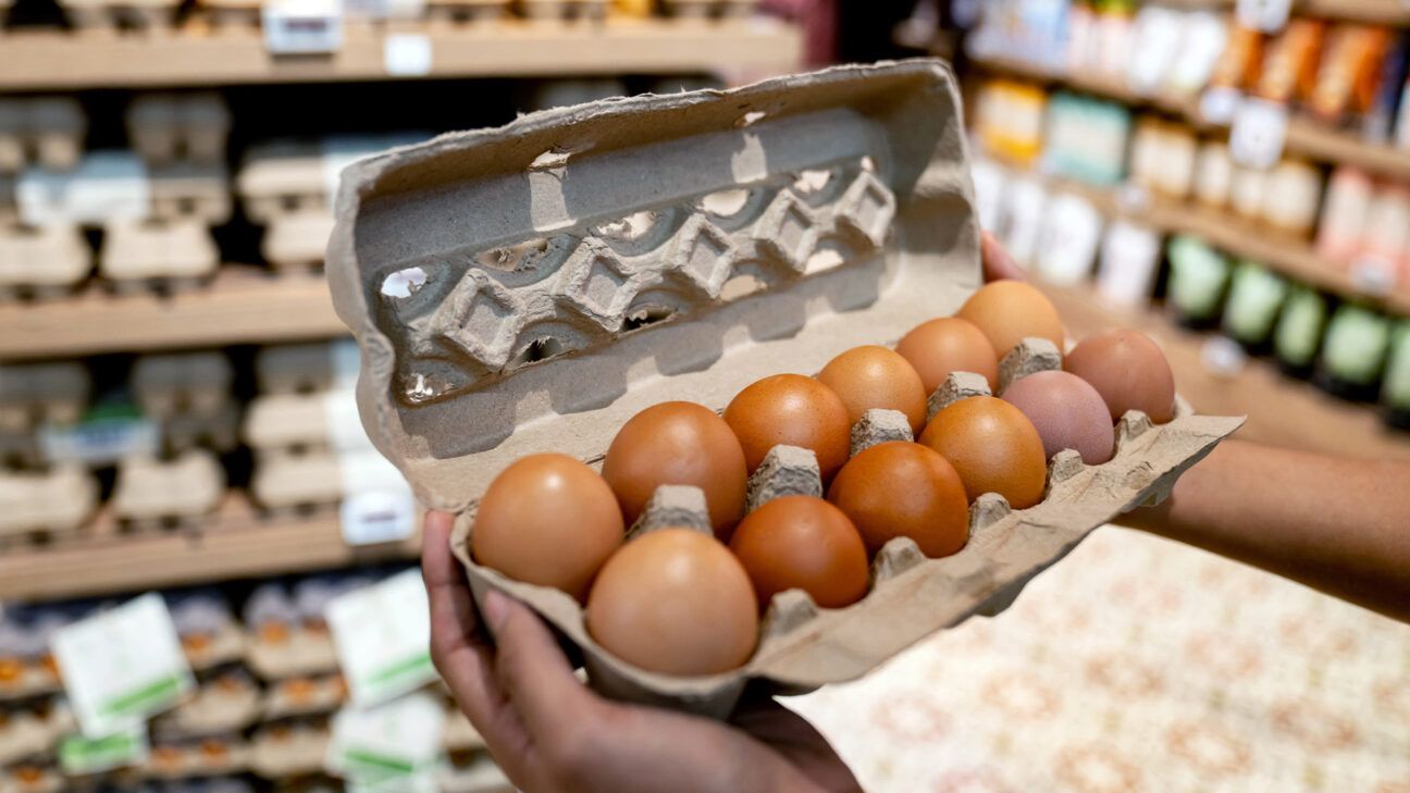 Buying Eggs During the Bird Flu Outbreak? Here's What You Should Know