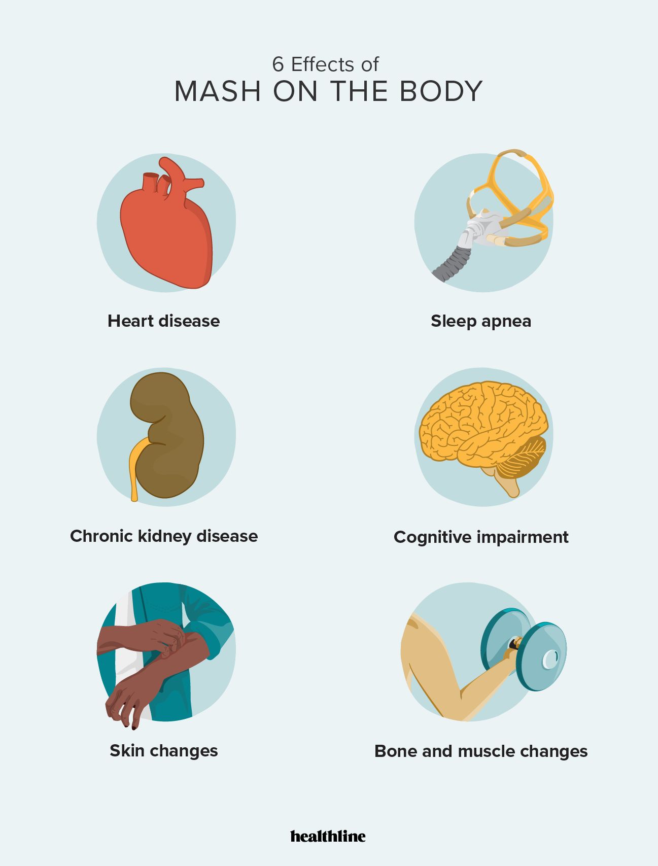 illustration of how mash affects the body