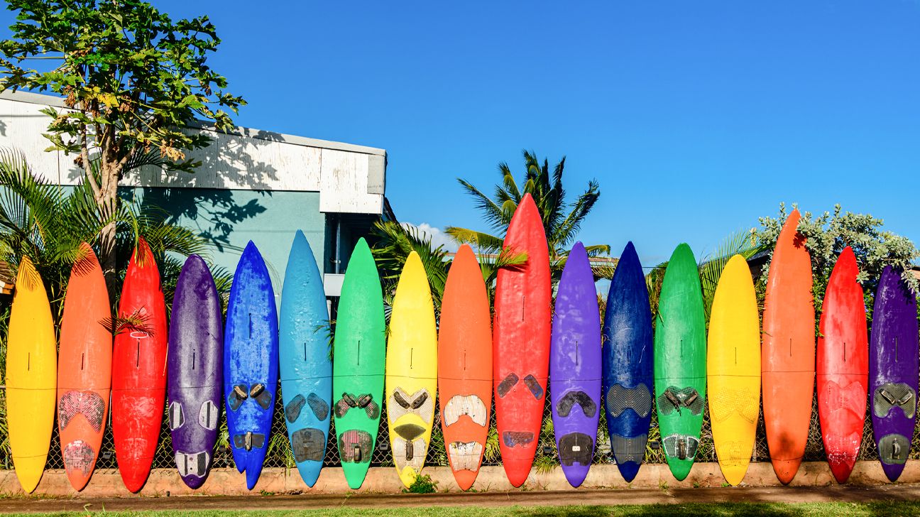 colorful surfboards
