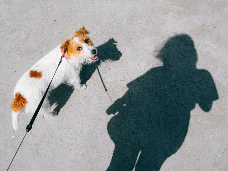 Fart Walking Is Tiktok’s New Trend for Digestive Health: Does It Work?