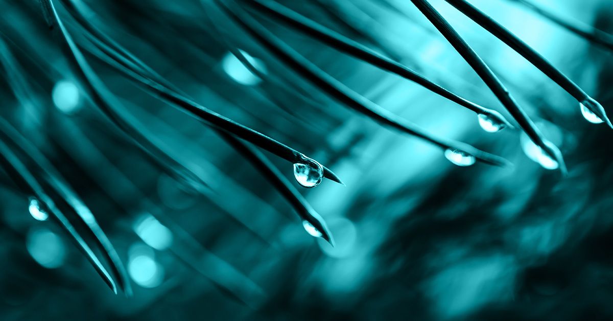 Nanny seriali irqchi porno serialdir.