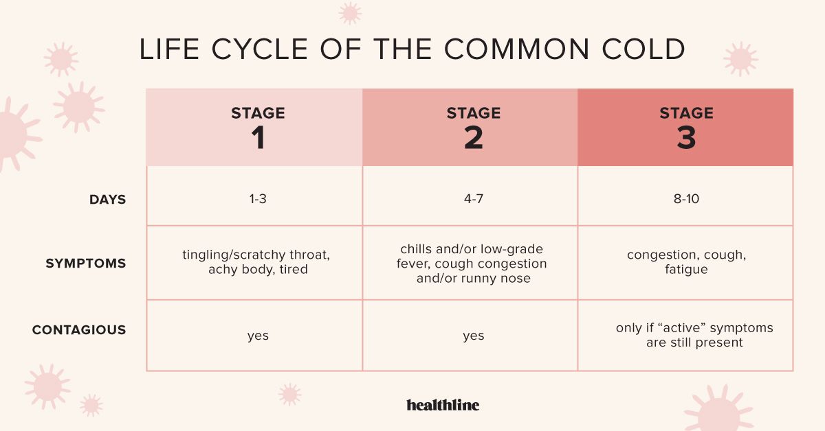 A Look at the Life Cycle of a Cold