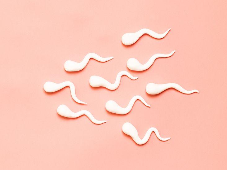 How Long Sperm Can Survive on Clothes: Shocking Facts Revealed