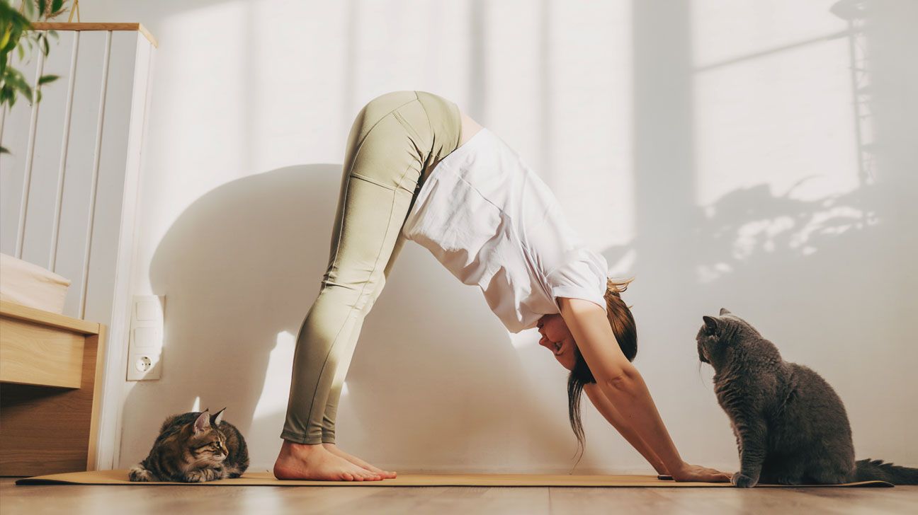 Female doing downward dog yoga with cats