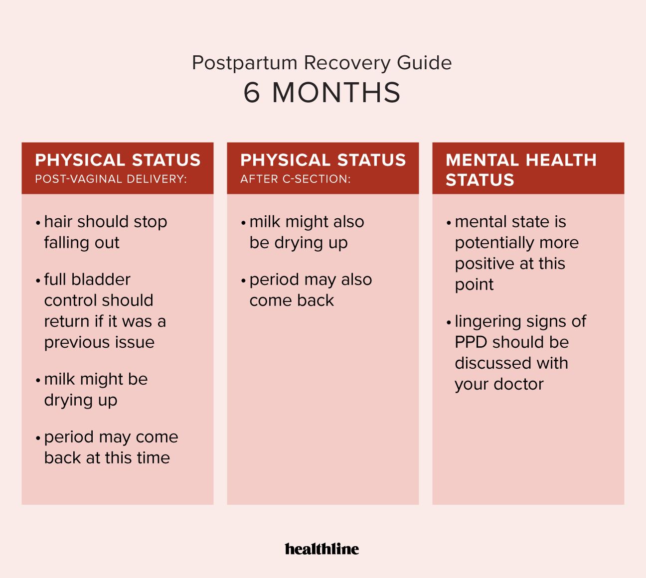 postpartum recovery 6 months infographic