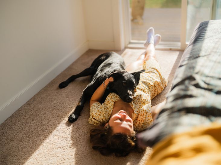 Can a Service Dog Help with Your Anxiety?