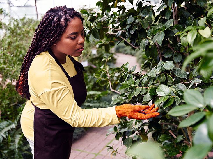 How to Avoid Eczema Flares from Gardening