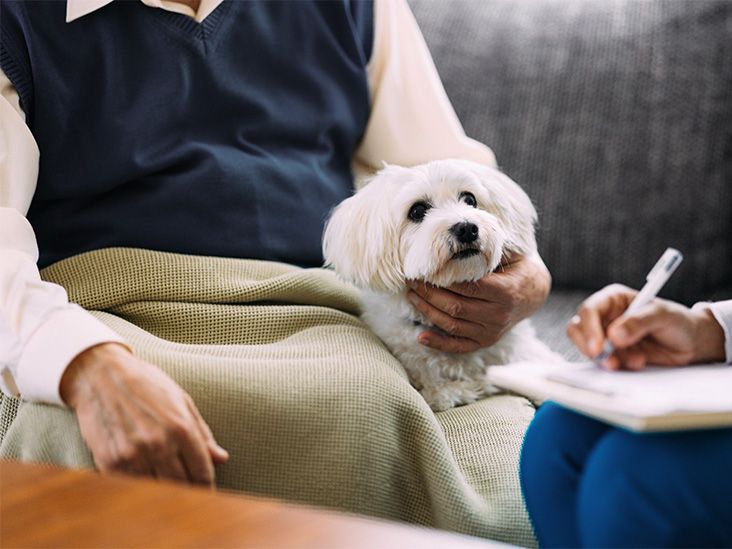 Curated visual reference: Grapes Toxicity And Kidney Problems In Dogs Reference: Kidney Disease In Dogs Symptoms Treatment And Outlook