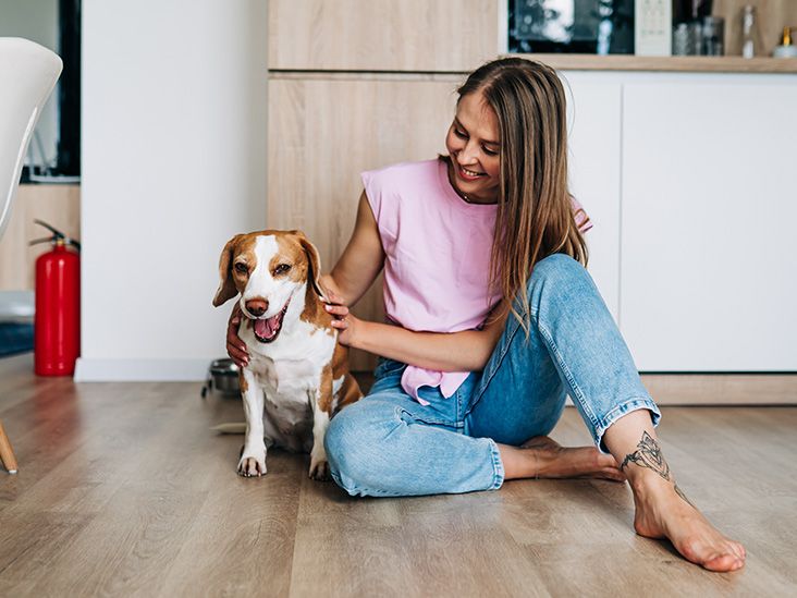 Understanding Allergy-Free Dog Breeds