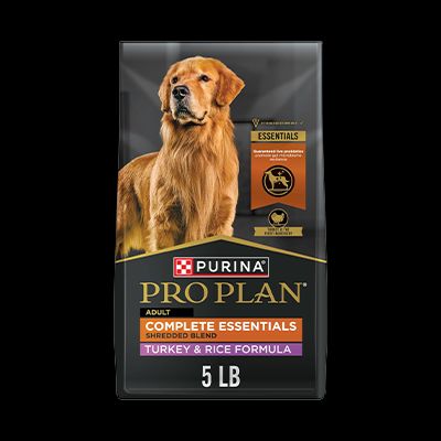 What Are The Best Dog Foods? We Spoke To A Vet