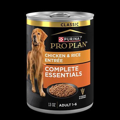 What Are The Best Dog Foods? We Spoke To A Vet