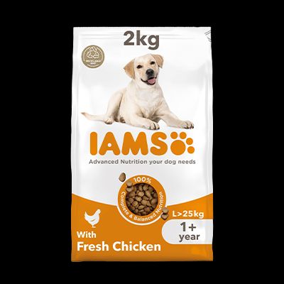 adult wet chewy cat food Beef Wet Cat Food