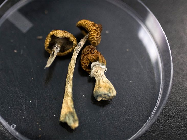 Psilocybin 6 Times More Effective Than Nicotine Patch to Help Smokers Quit