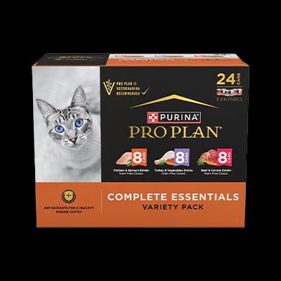 The Best Cat Foods for 2026: A Vet Tells All