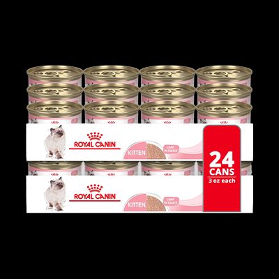 The Best Cat Foods for 2026: A Vet Tells All