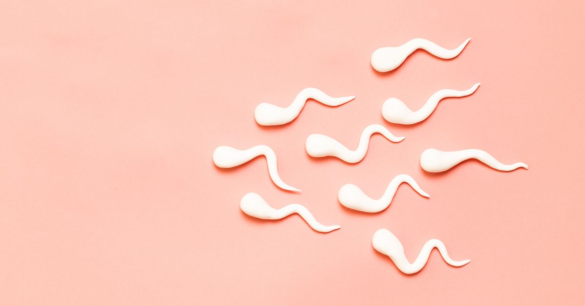 Why Social Media Is Obsessed with Male Fertility