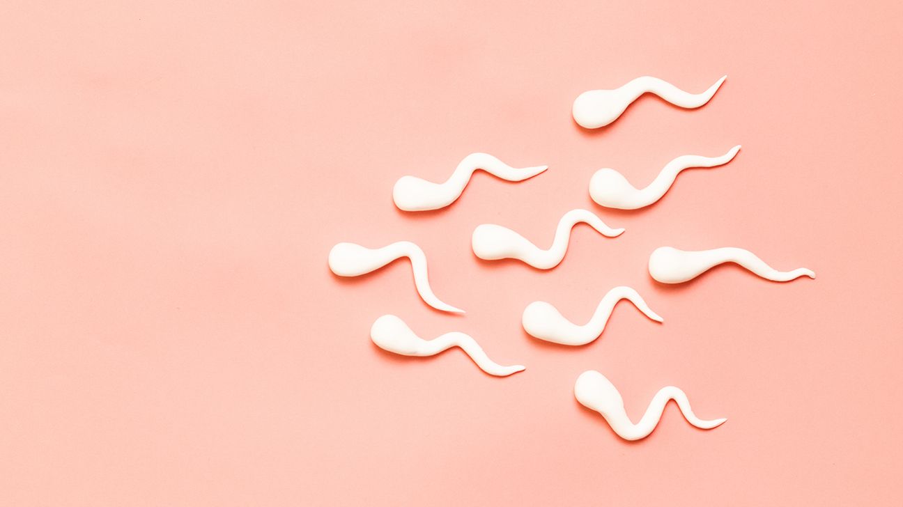 Sperm figures on a coral background
